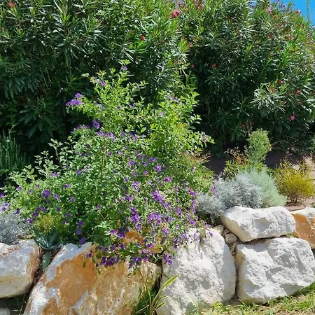 Bed and breakfast Antica Dimora Dei Gelsi *
